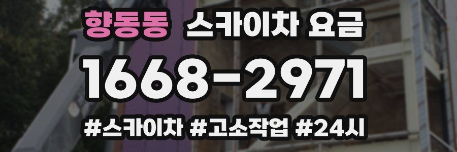 향동동 스카이차 요금