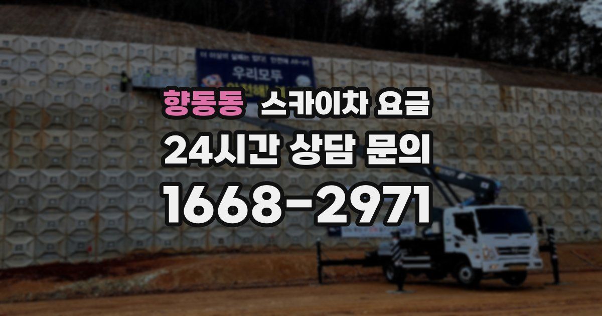 향동동 스카이차 요금