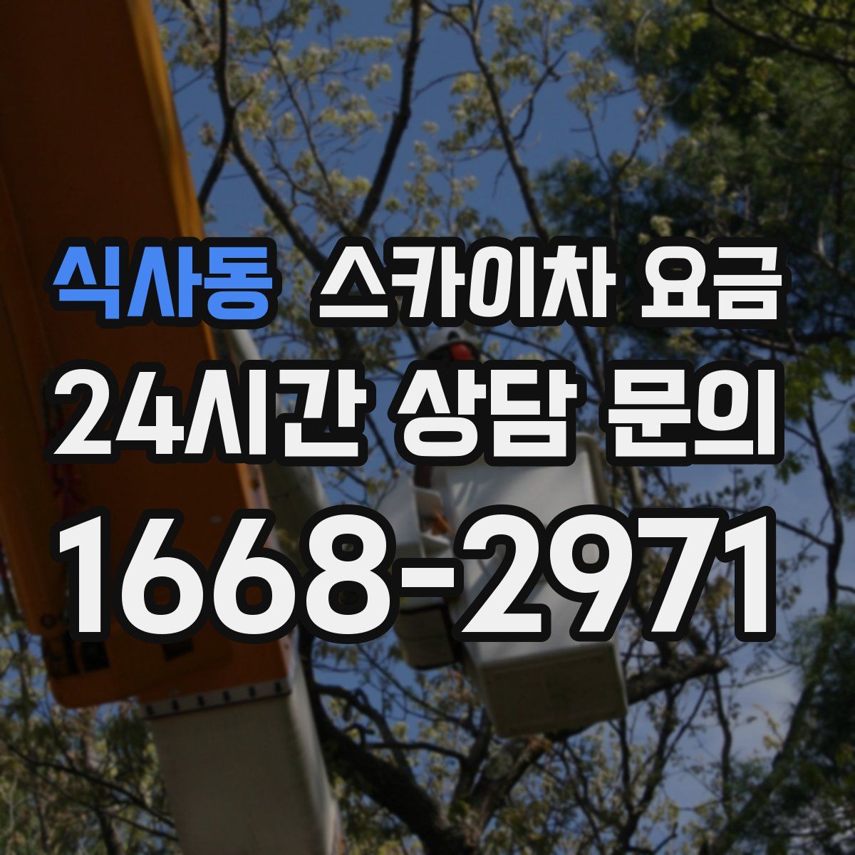 식사동 스카이차 요금