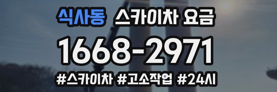 식사동 스카이차 요금