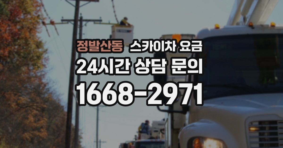 정발산동 스카이차 요금