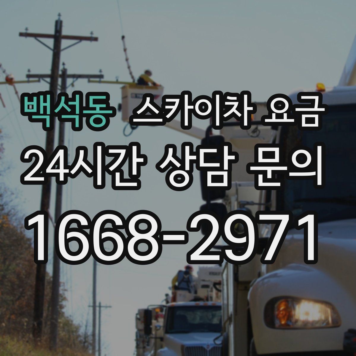 백석동 스카이차 요금