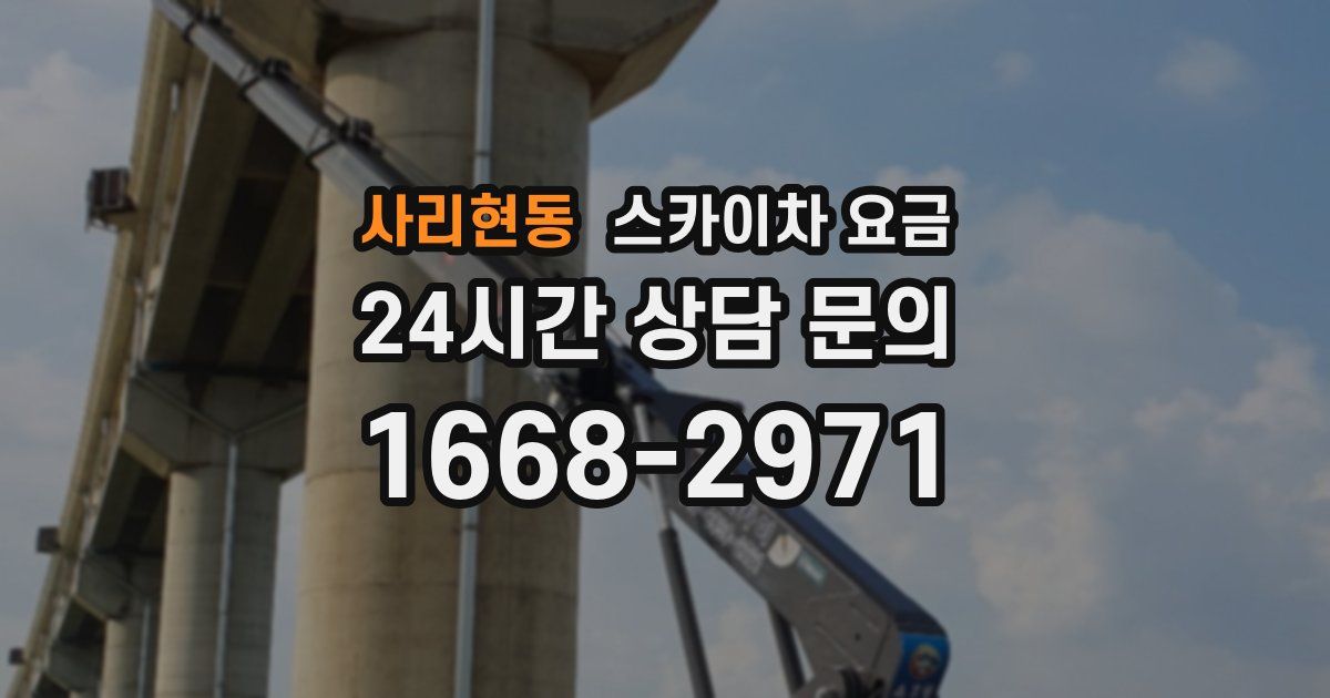 사리현동 스카이차 요금