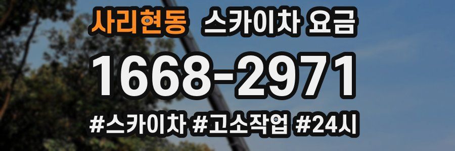 사리현동 스카이차 요금