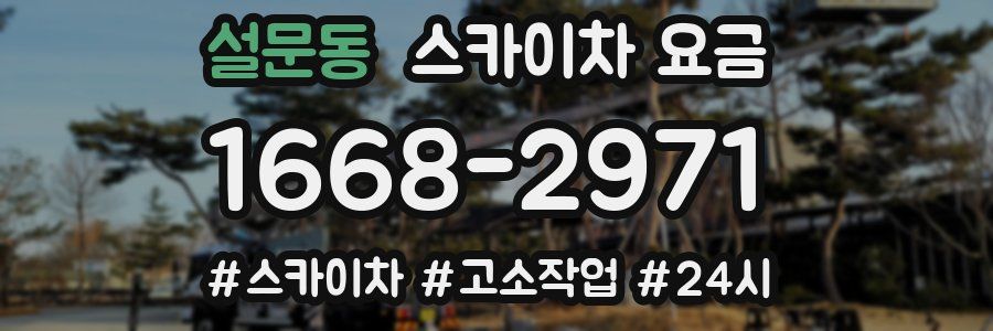 설문동 스카이차 요금