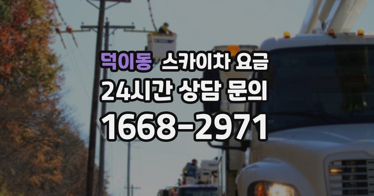 덕이동 스카이차 요금