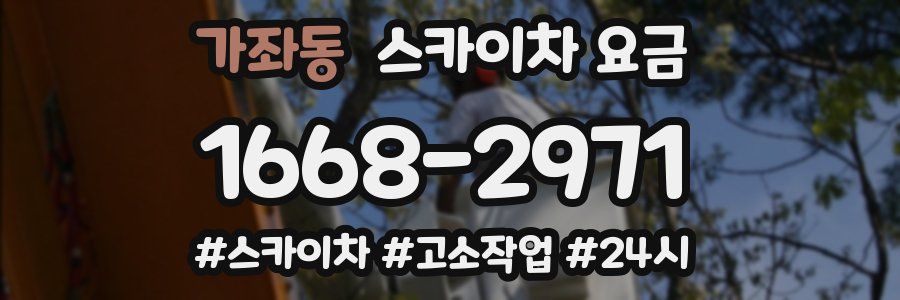 가좌동 스카이차 요금