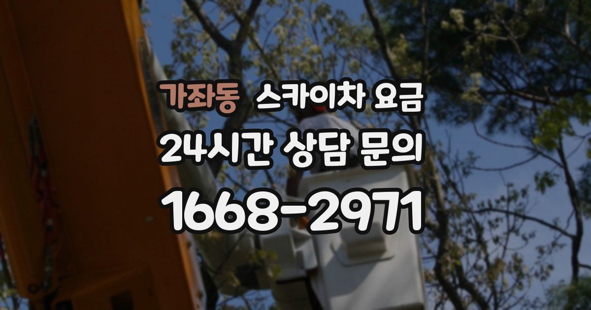 가좌동 스카이차 요금