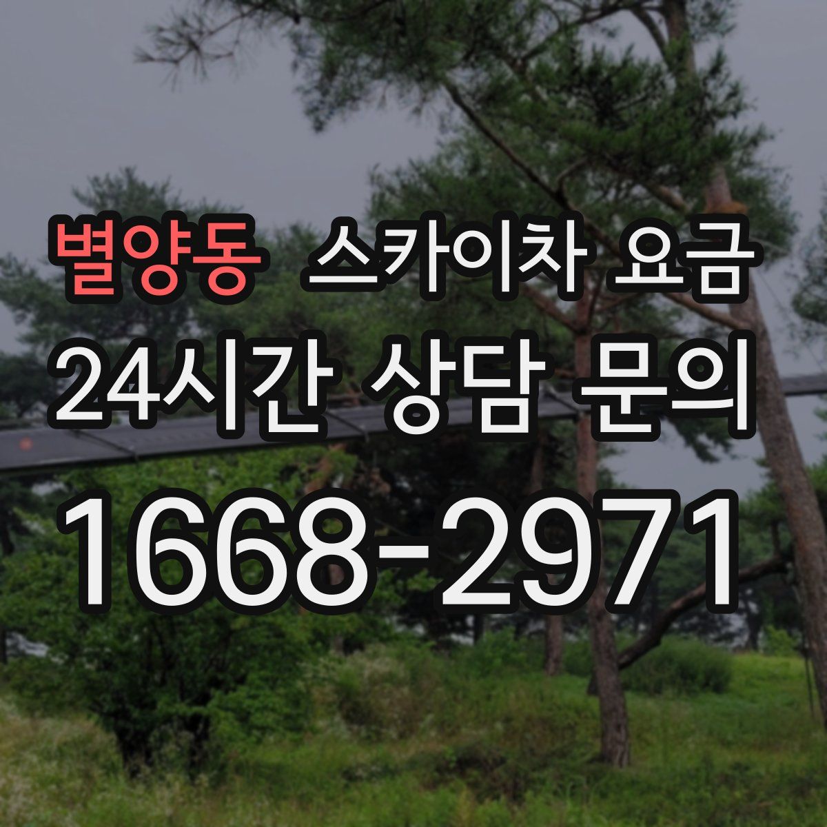 별양동 스카이차 요금