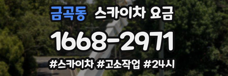 금곡동 스카이차 요금