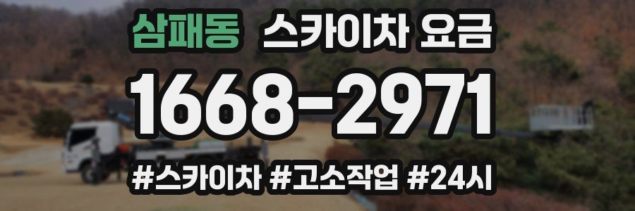 삼패동 스카이차 요금