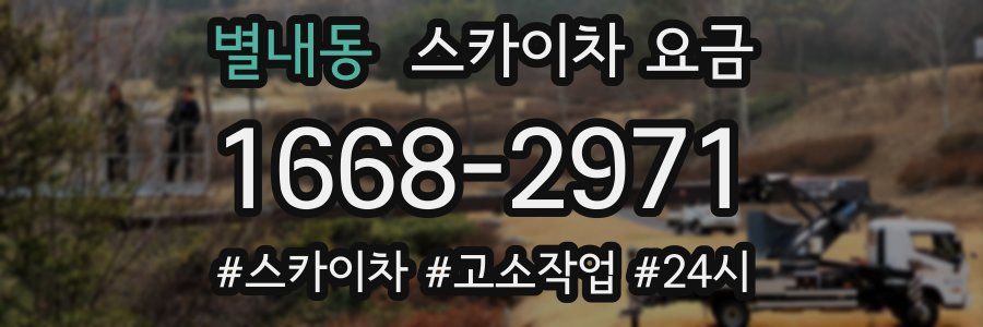 별내동 스카이차 요금