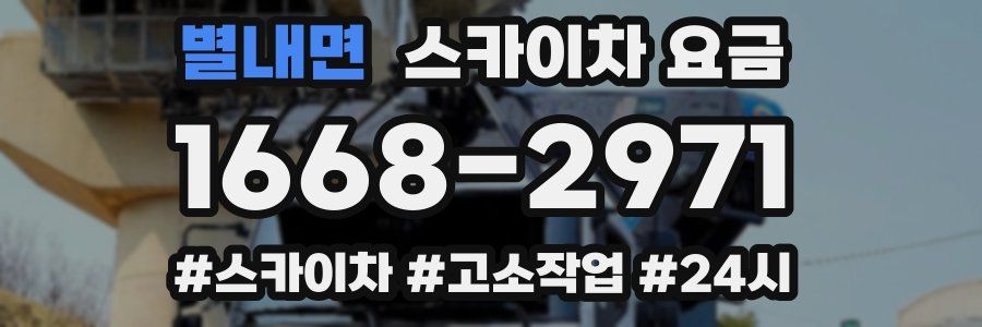 별내면 스카이차 요금