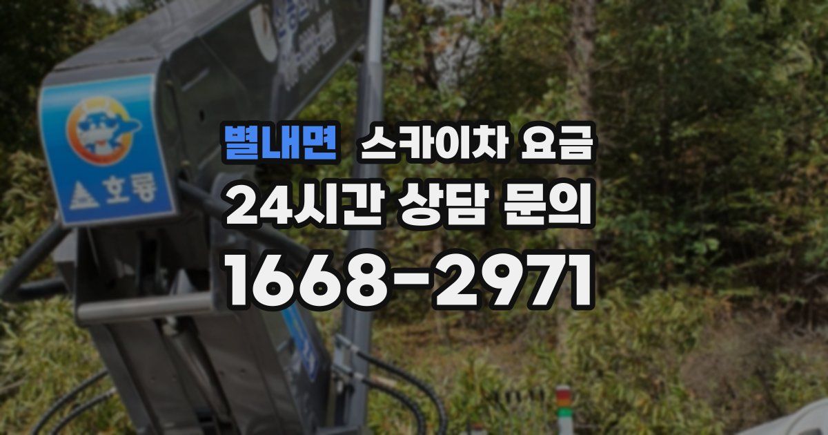 별내면 스카이차 요금