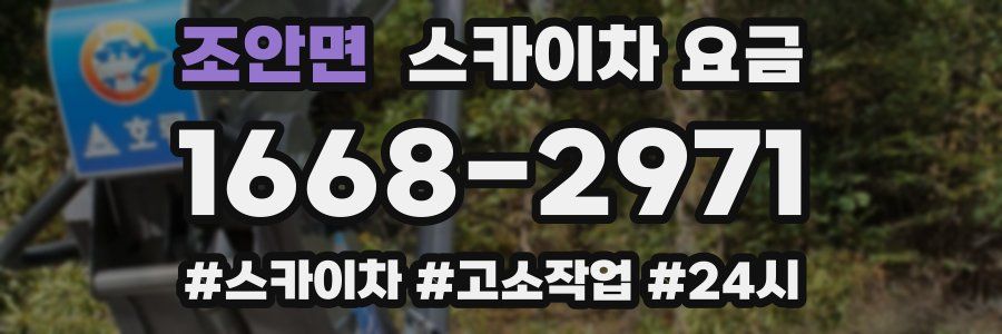 조안면 스카이차 요금