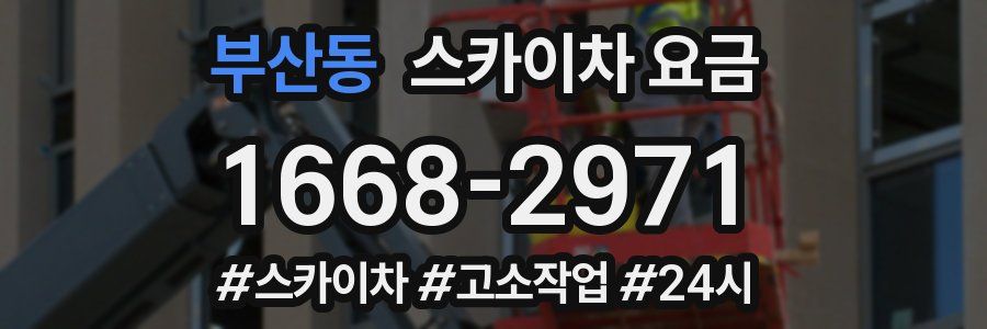 부산동 스카이차 요금