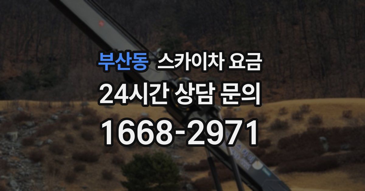 부산동 스카이차 요금