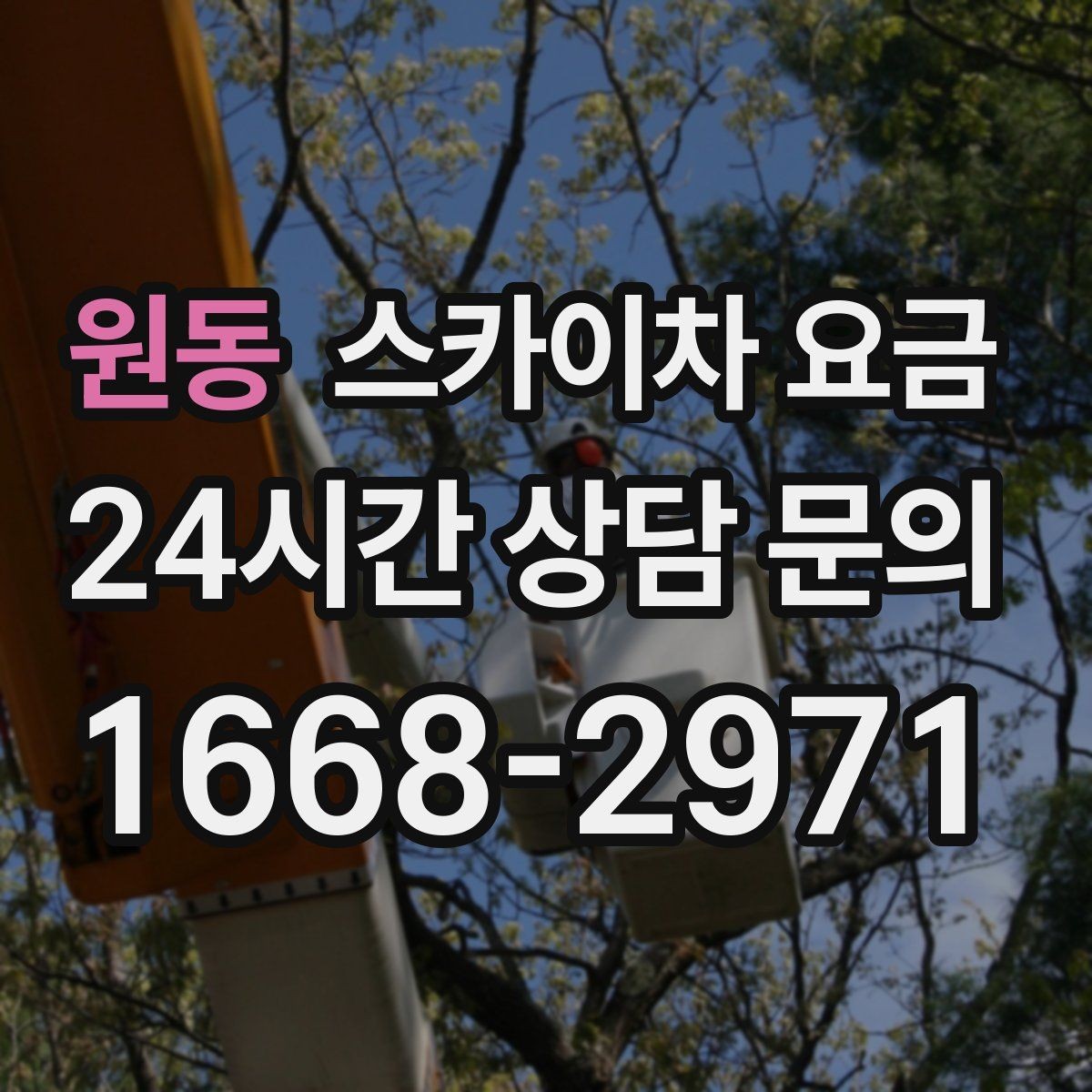 원동 스카이차 요금 옥상 장비 점검은 왜 요금이 달라질까