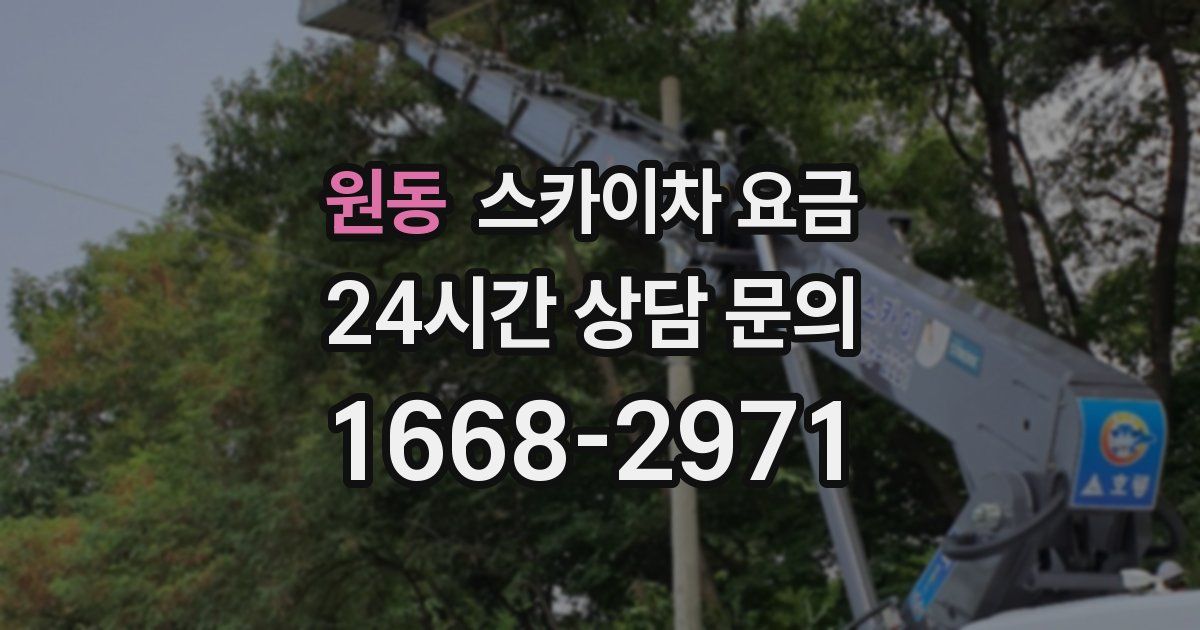 원동 스카이차 요금