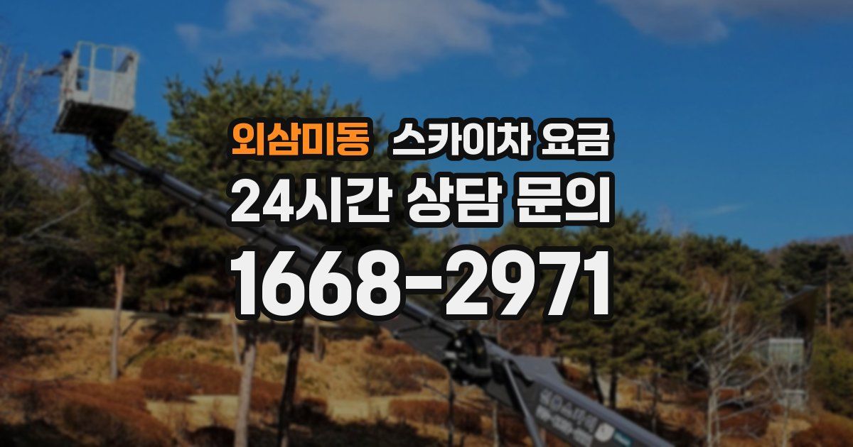 외삼미동 스카이차 요금