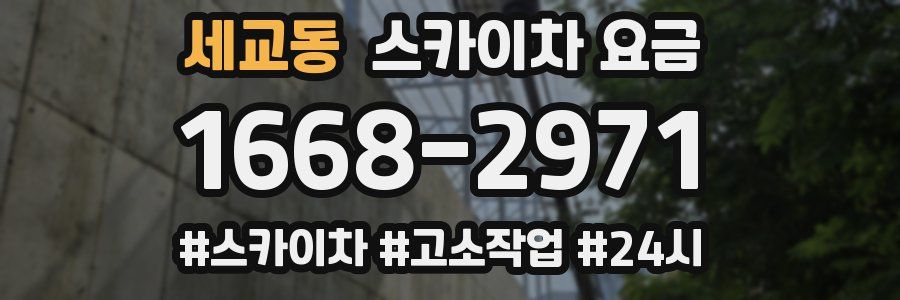 세교동 스카이차 요금