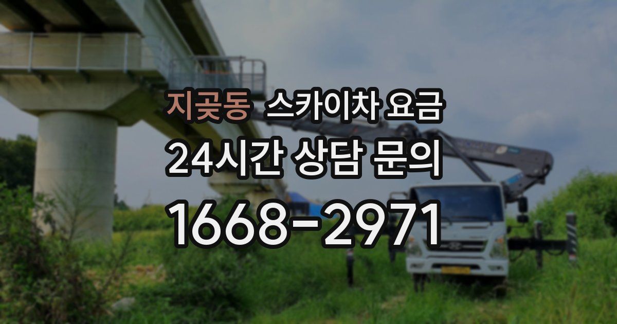 지곶동 스카이차 요금