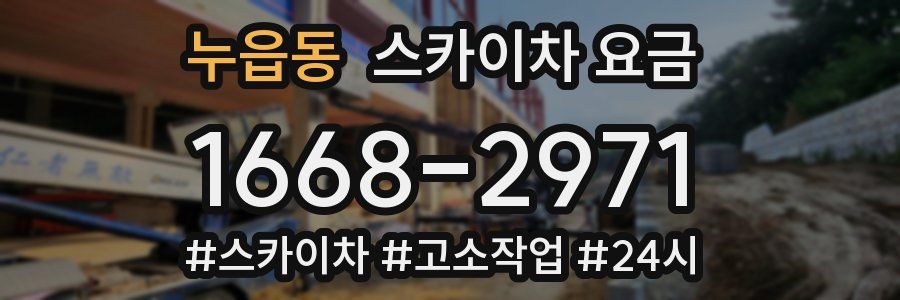 누읍동 스카이차 요금