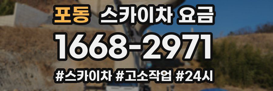 포동 스카이차 요금