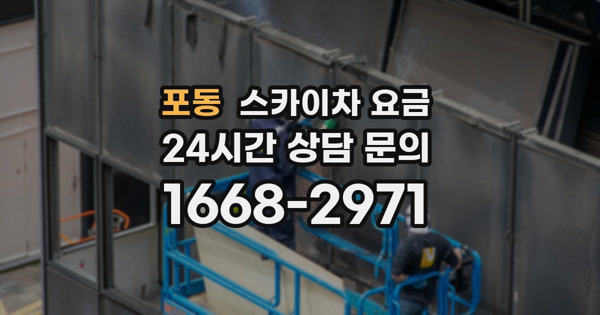 포동 스카이차 요금