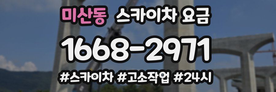 미산동 스카이차 요금