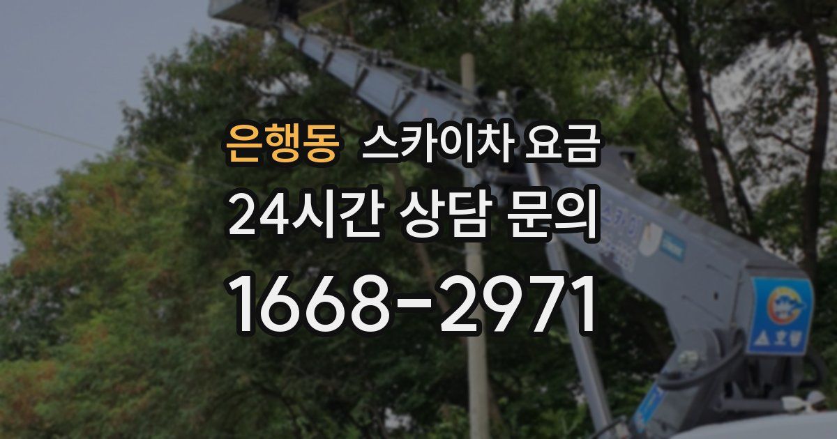 은행동 스카이차 요금