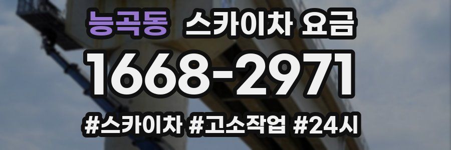 능곡동 스카이차 요금