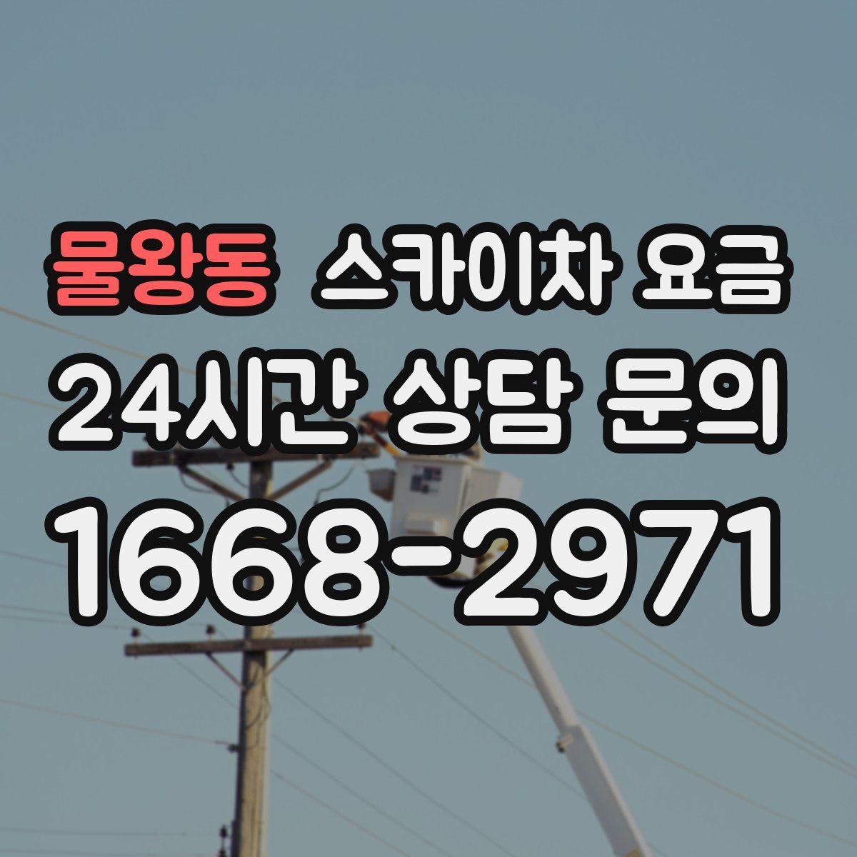 물왕동 스카이차 요금