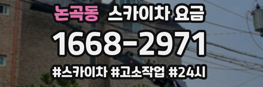 논곡동 스카이차 요금