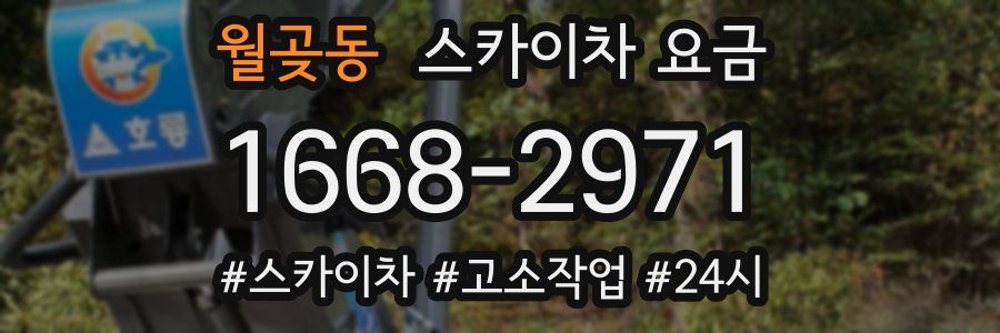 월곶동 스카이차 요금