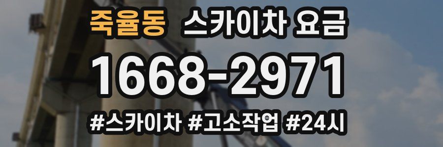 죽율동 스카이차 요금