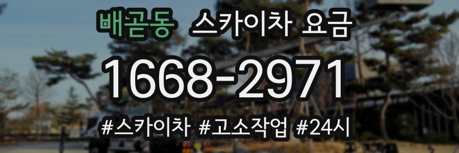 배곧동 스카이차 요금
