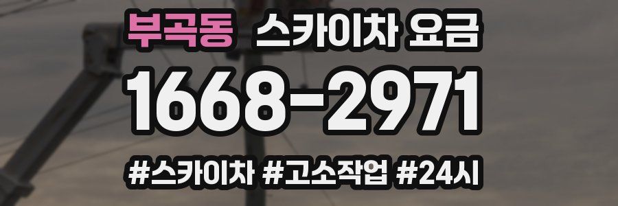 부곡동 스카이차 요금