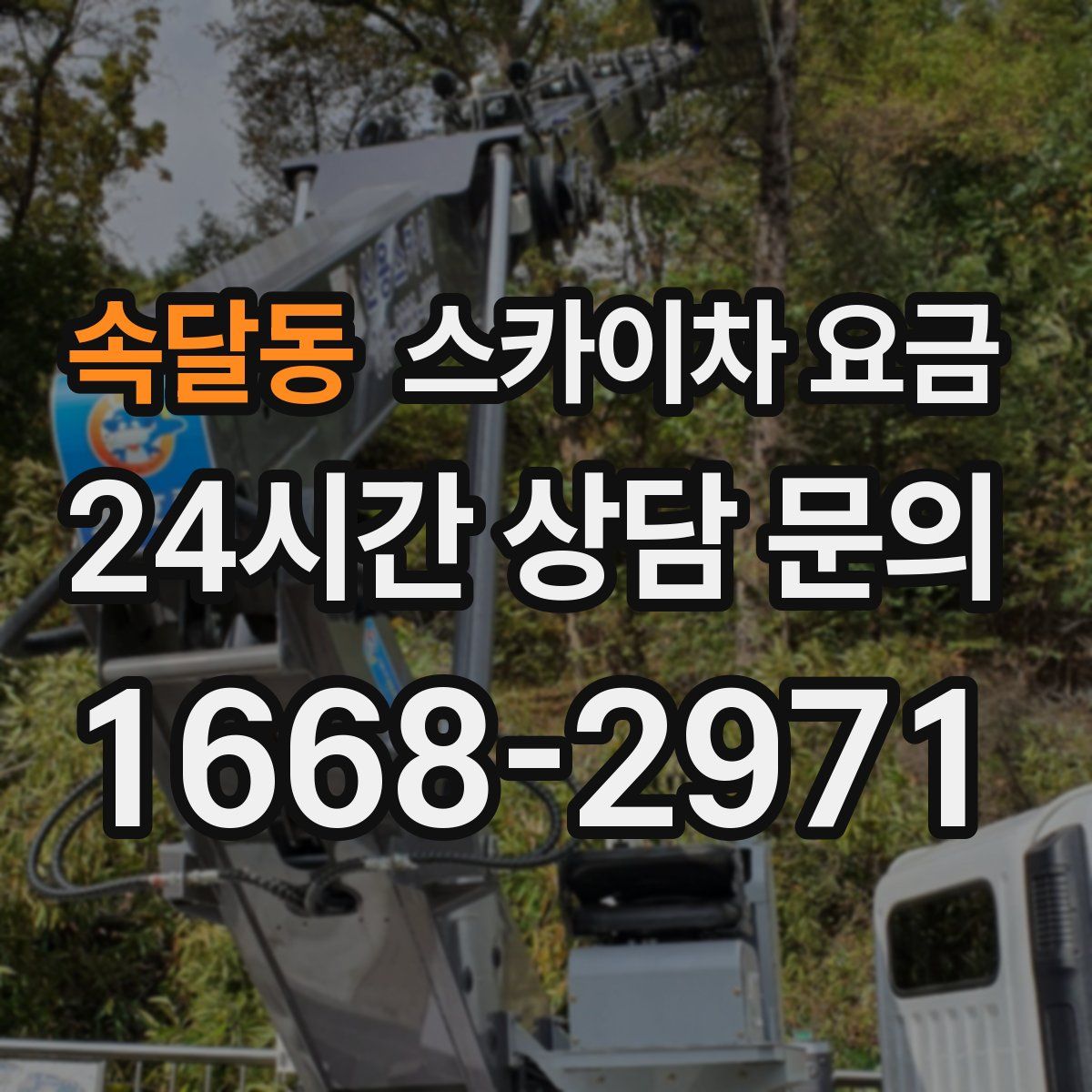 속달동 스카이차 요금