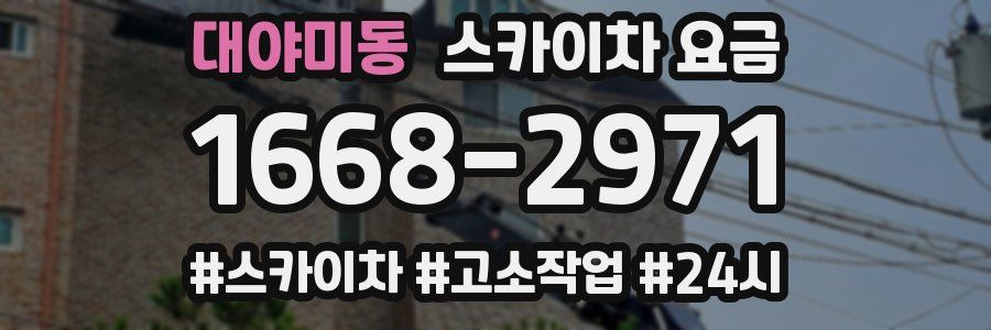 대야미동 스카이차 요금