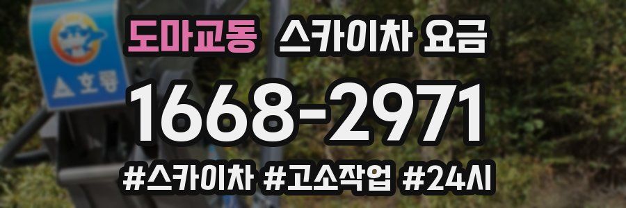 도마교동 스카이차 요금