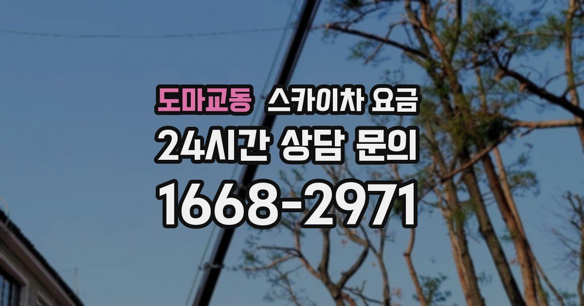 도마교동 스카이차 요금