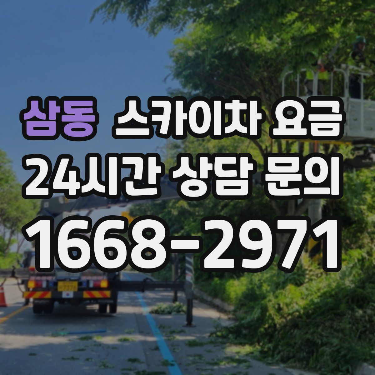 삼동 스카이차 요금