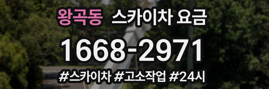 왕곡동 스카이차 요금