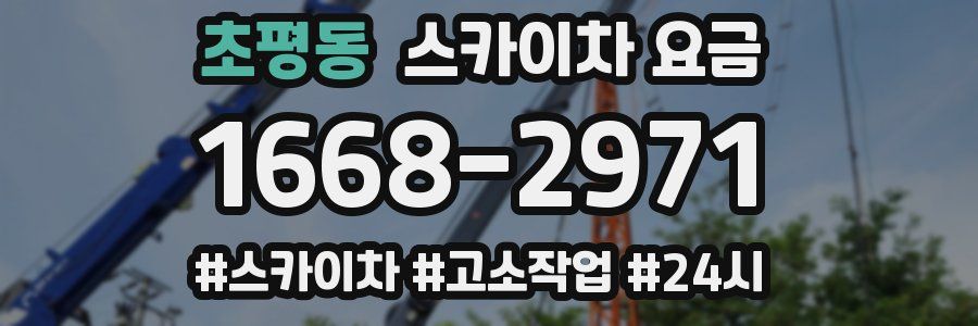 초평동 스카이차 요금