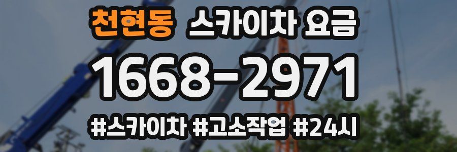 천현동 스카이차 요금