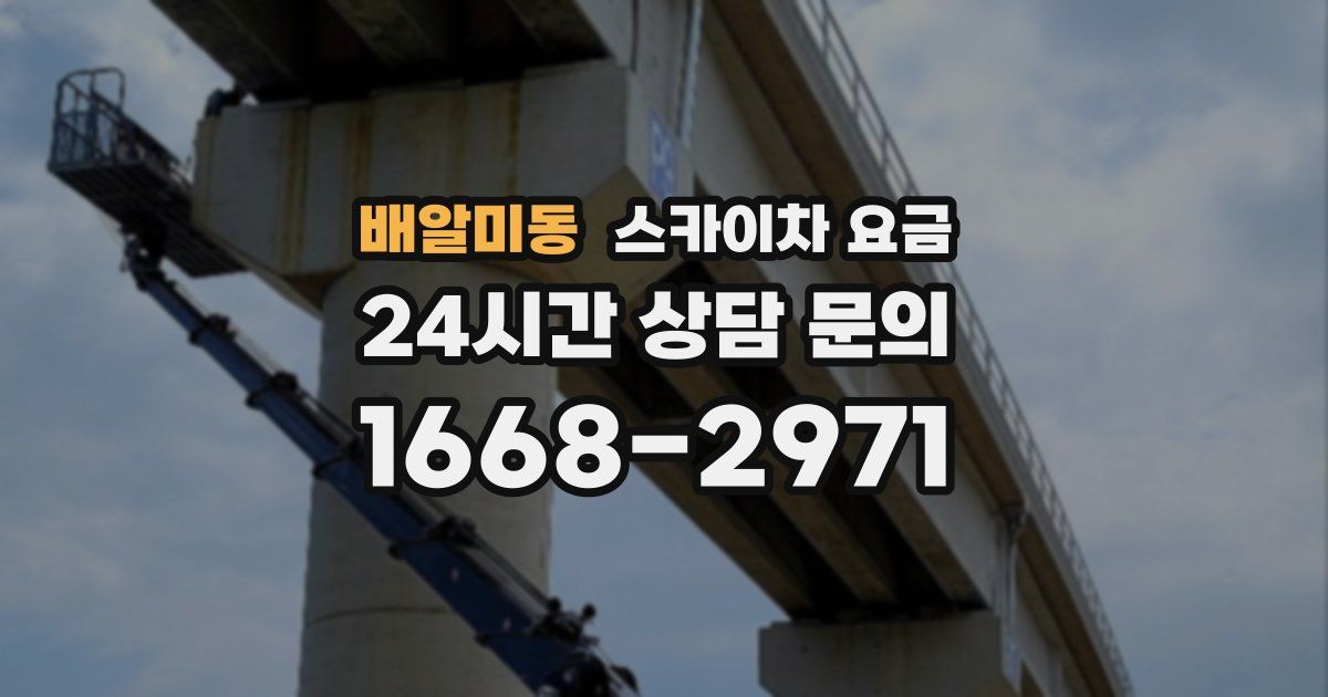 배알미동 스카이차 요금