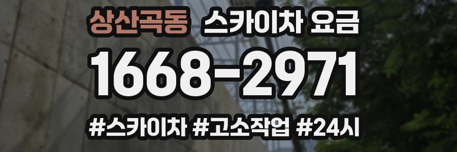 상산곡동 스카이차 요금