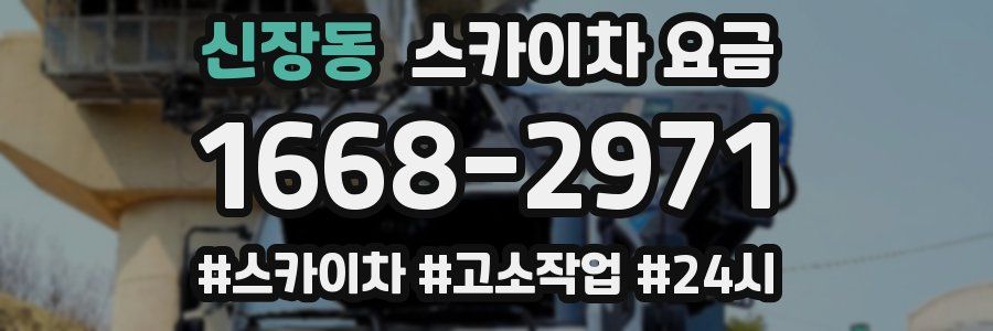 신장동 스카이차 요금