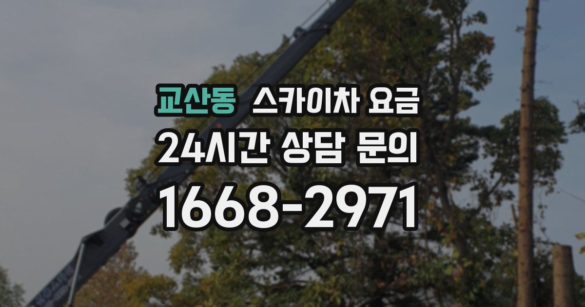 교산동 스카이차 요금